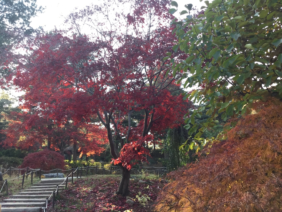 アチムゴヨ樹木園