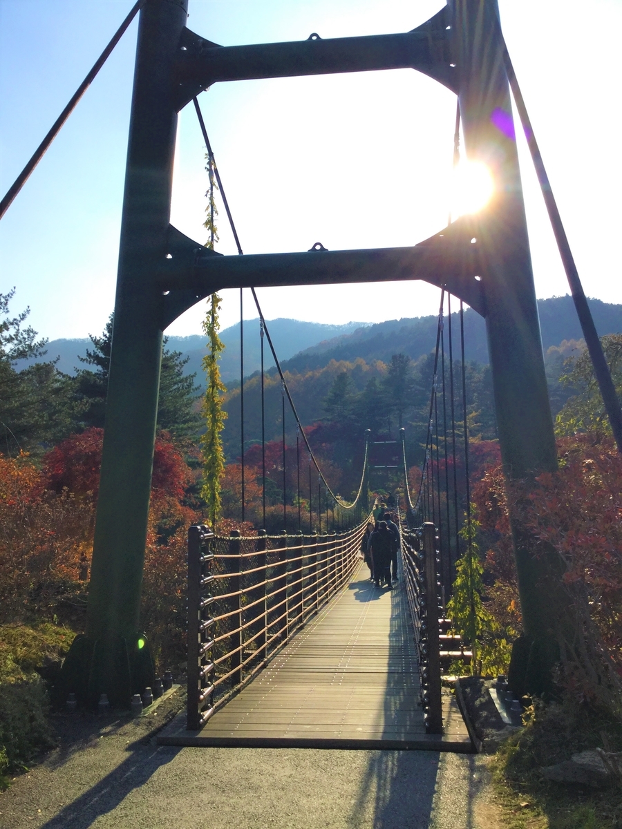 アチムゴヨ樹木園　加平　韓国旅行　観光