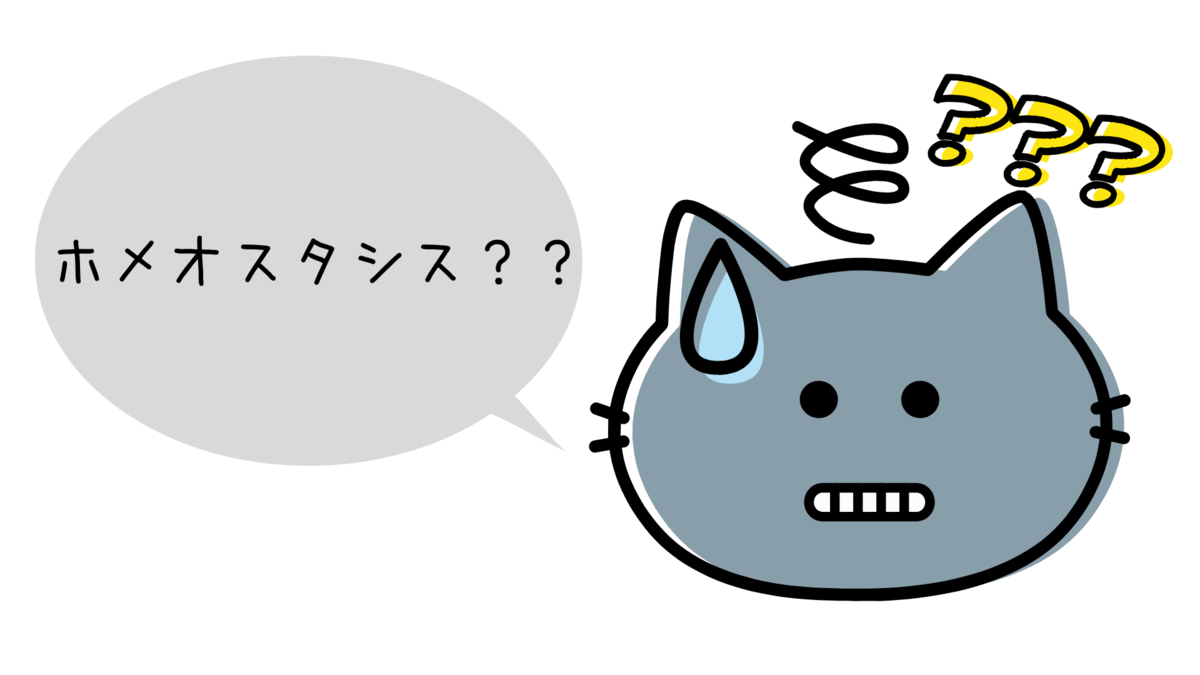 f:id:sanrisesansan:20191002012241p:plain f:id:sanrisesansan:20191002012241p:plain