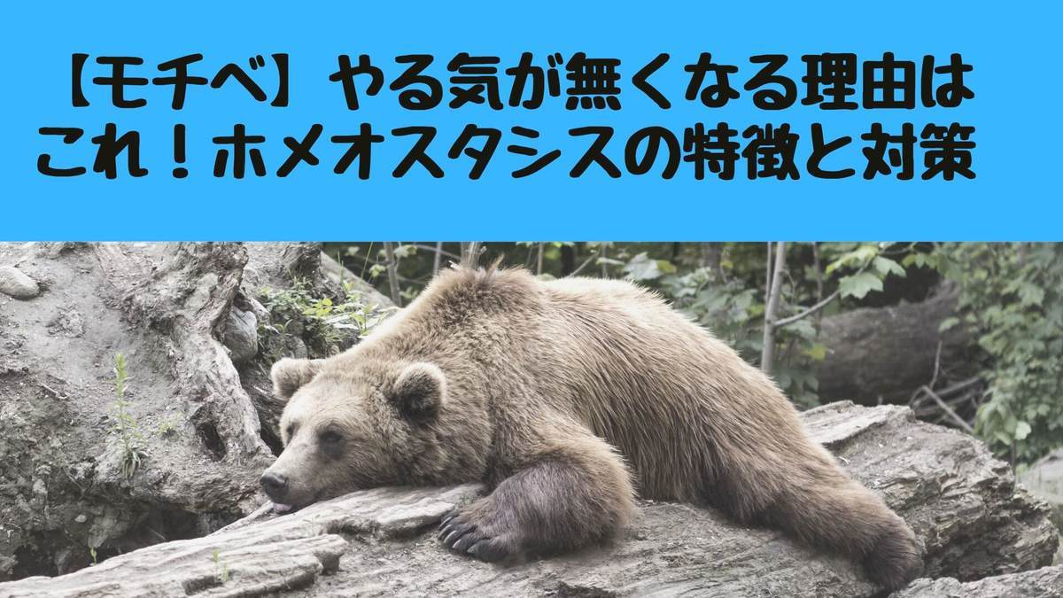 f:id:sanrisesansan:20191002235915j:plain f:id:sanrisesansan:20191002235915j:plain