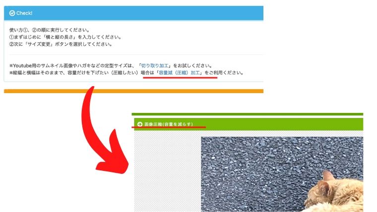 f:id:sanrisesansan:20200713222411j:plain f:id:sanrisesansan:20200713222411j:plain