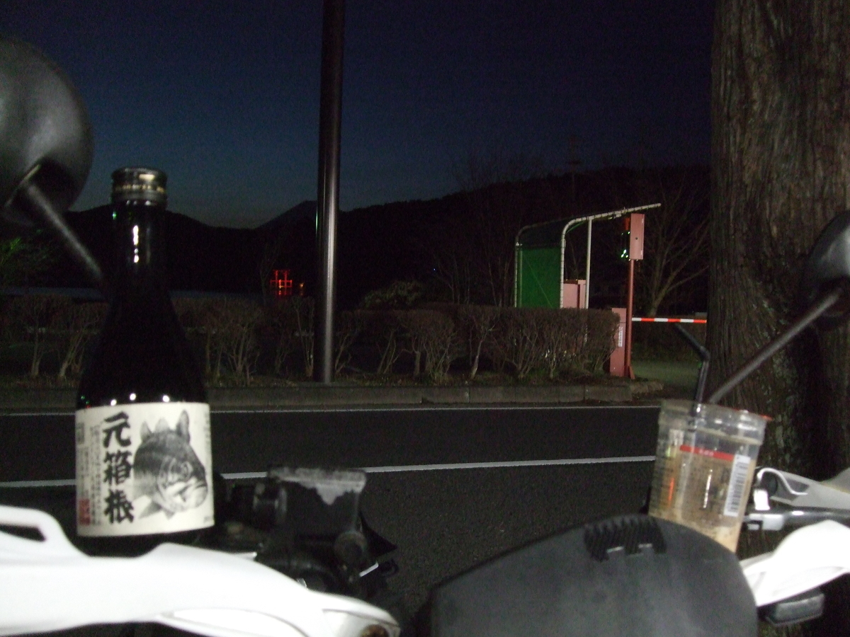 f:id:sanrusuko:20210326002603j:plain