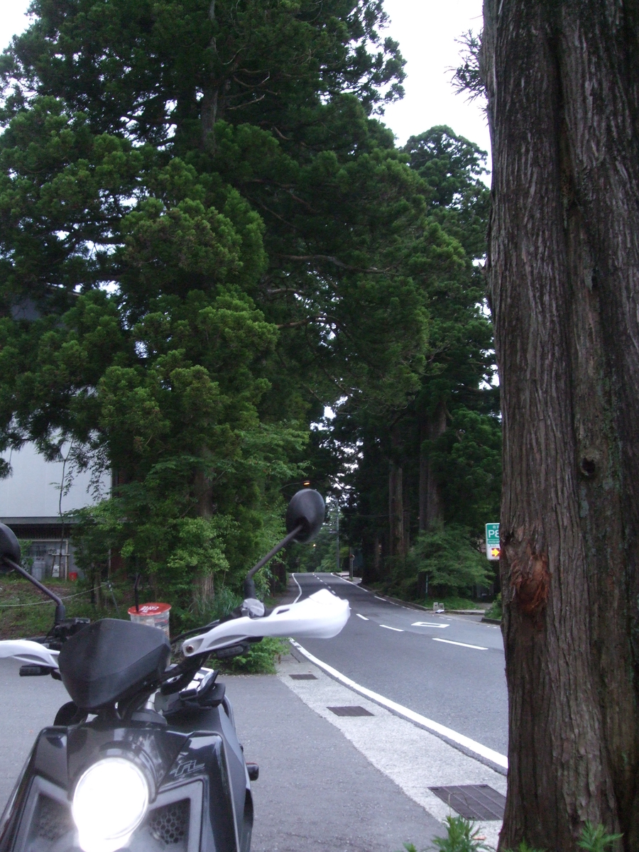 f:id:sanrusuko:20210605234334j:plain