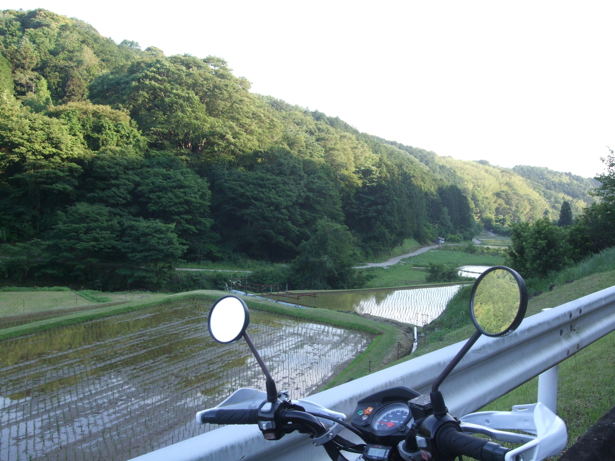 f:id:sanrusuko:20210606225522j:plain