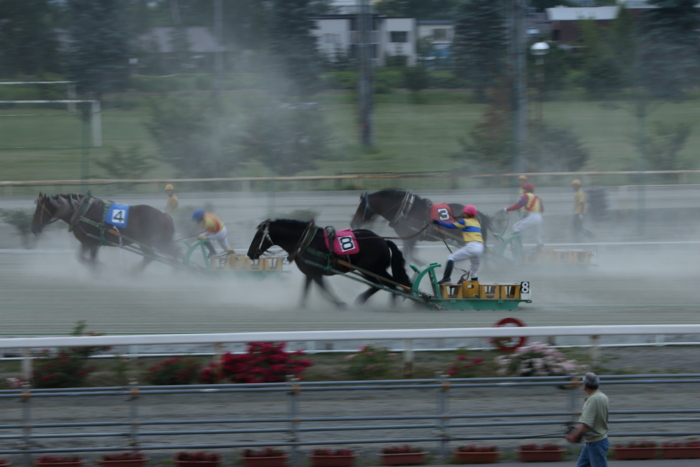 f:id:sans-tetes:20140707182205j:image
