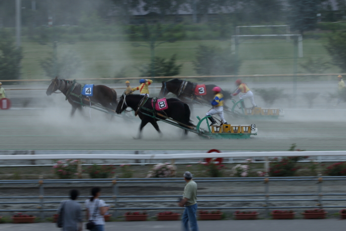 f:id:sans-tetes:20140707182211j:image