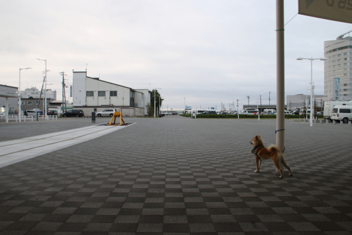f:id:sans-tetes:20140711185842j:image