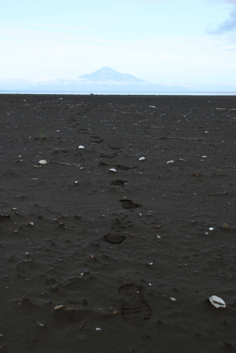 f:id:sans-tetes:20140712054144j:image
