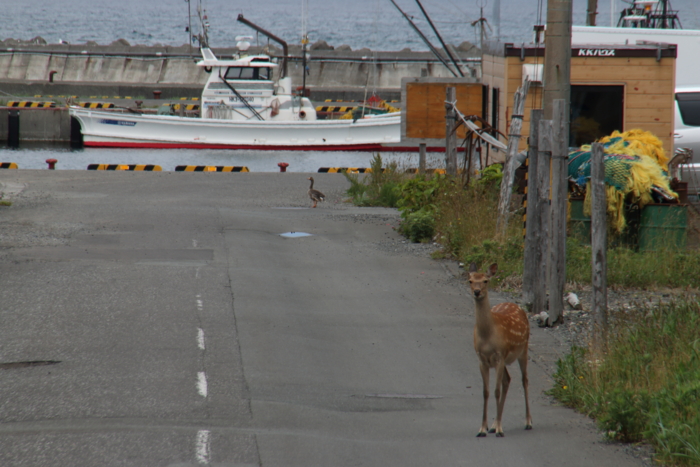 f:id:sans-tetes:20140712100319j:image