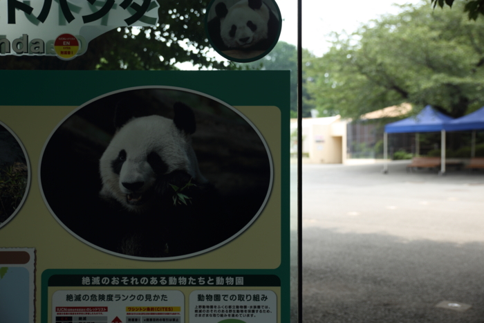 f:id:sans-tetes:20140731100946j:image