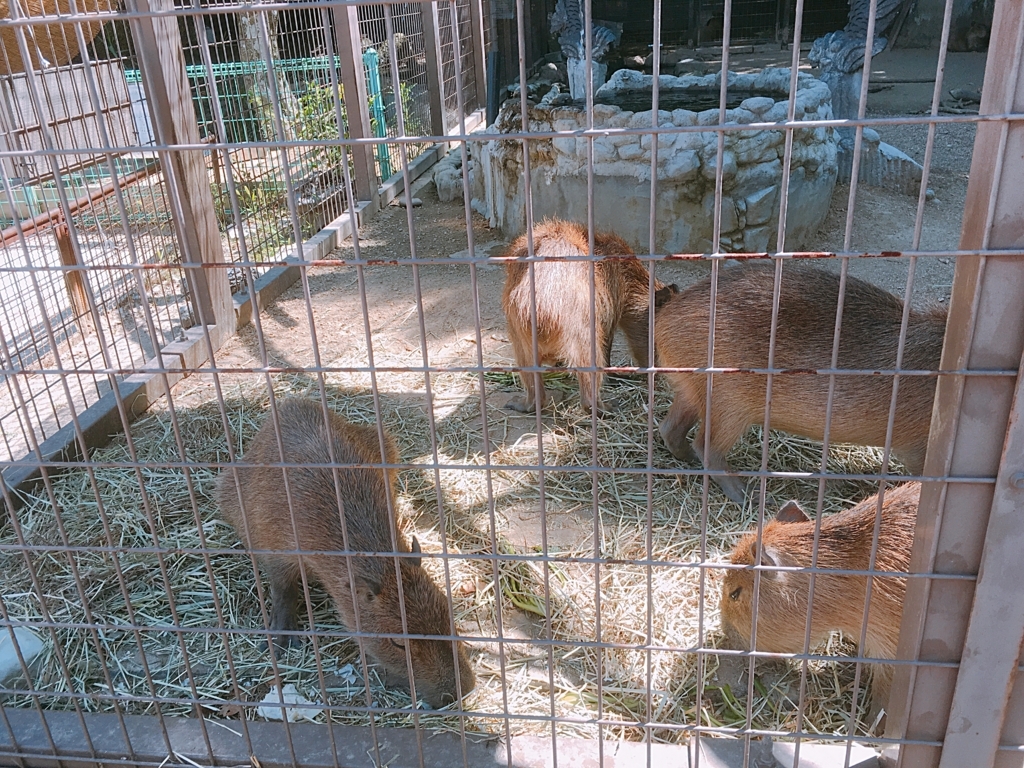 f:id:sansan613:20180808220047j:plain