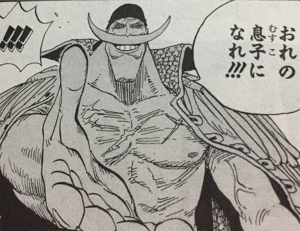 エースvs白ひげ 怪物との対決は何巻 何話 何話 何巻 Com エースvs白ひげ 怪物との対決は何巻 何話 何話 何巻 Com