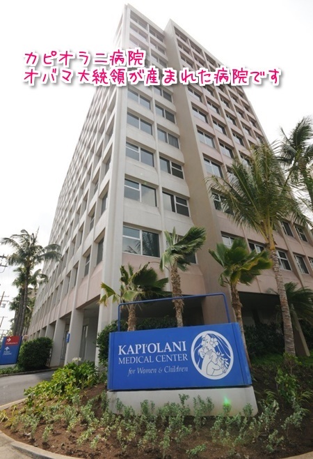 f:id:sansedaihawaii:20161003214945j:plain