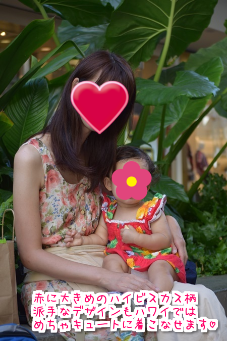 f:id:sansedaihawaii:20161005224804p:plain
