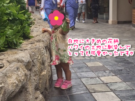 f:id:sansedaihawaii:20161005224820p:plain