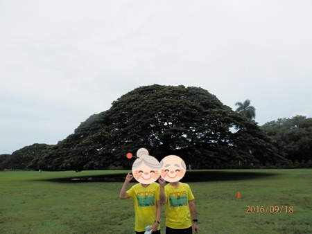 f:id:sansedaihawaii:20161019213922p:plain
