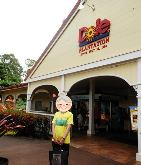 f:id:sansedaihawaii:20161019214107p:plain