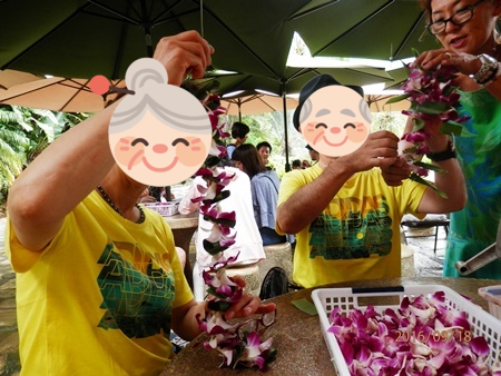 f:id:sansedaihawaii:20161019214300p:plain