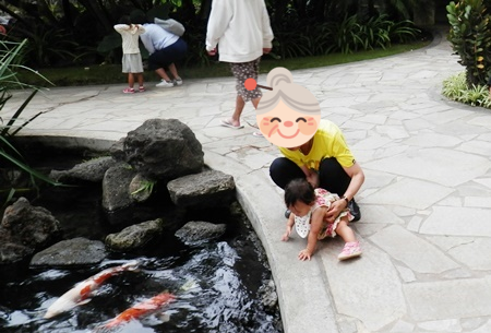 f:id:sansedaihawaii:20161019215930p:plain