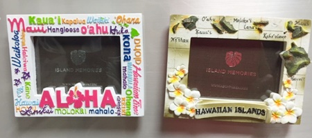 f:id:sansedaihawaii:20161028231713j:plain
