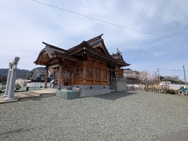 f:id:sansevieriak:20250330134024j:image