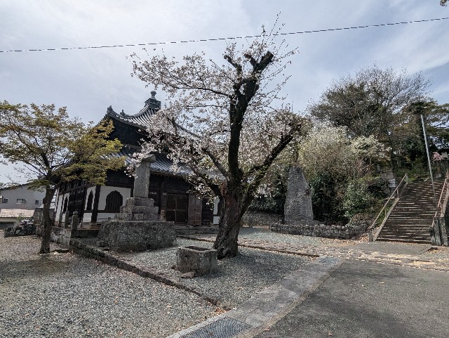 f:id:sansevieriak:20250330134150j:image