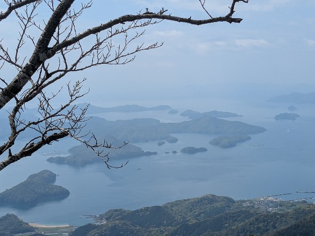 f:id:sansevieriak:20250417112407j:image