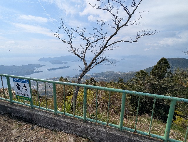 f:id:sansevieriak:20250417112419j:image