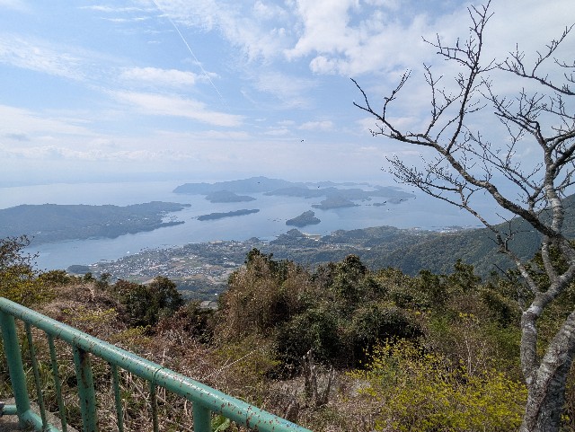 f:id:sansevieriak:20250417112444j:image