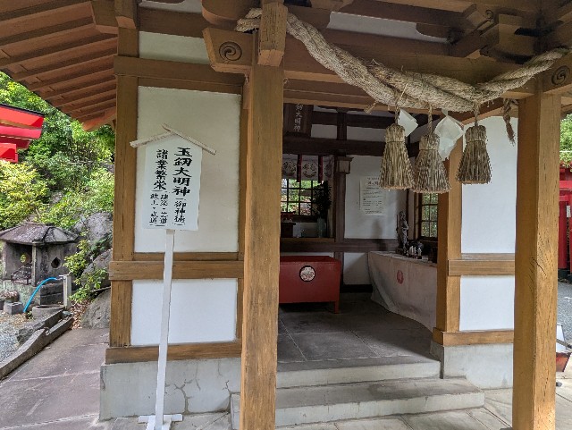 f:id:sansevieriak:20250515122632j:image