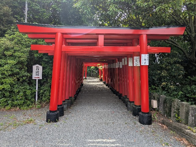 f:id:sansevieriak:20250515122647j:image