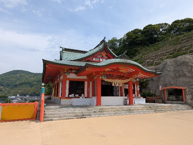 f:id:sansevieriak:20250515122703j:image