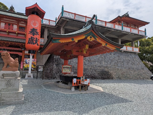 f:id:sansevieriak:20250515122804j:image