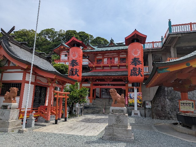 f:id:sansevieriak:20250515122811j:image