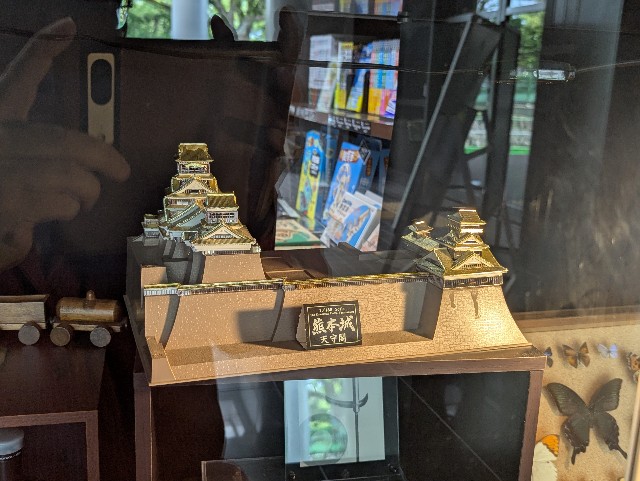 f:id:sansevieriak:20250601095516j:image