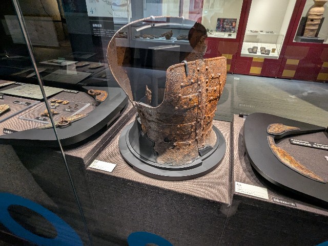 f:id:sansevieriak:20250601095641j:image