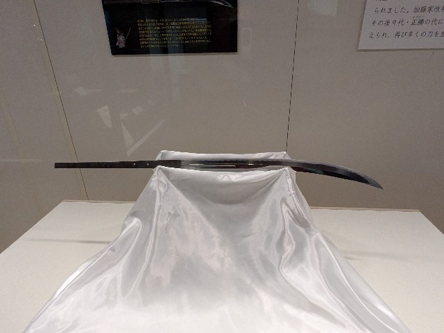 f:id:sansevieriak:20250601095723j:image