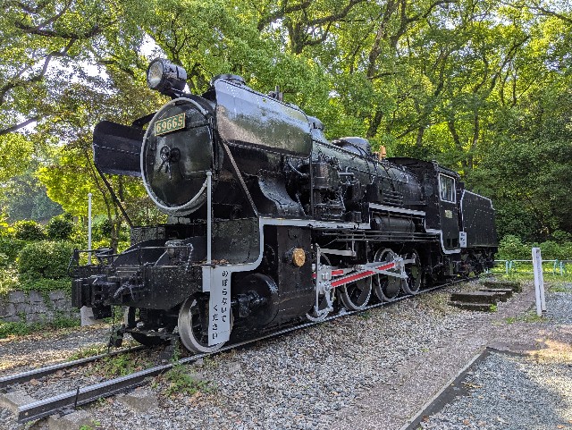 f:id:sansevieriak:20250601095835j:image