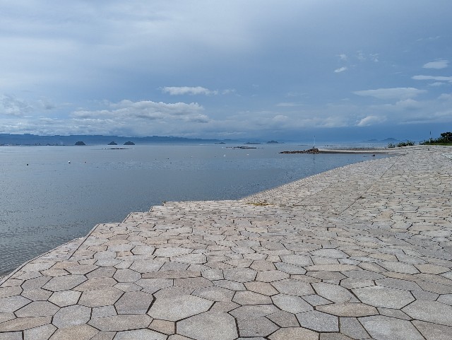 f:id:sansevieriak:20250714074350j:image
