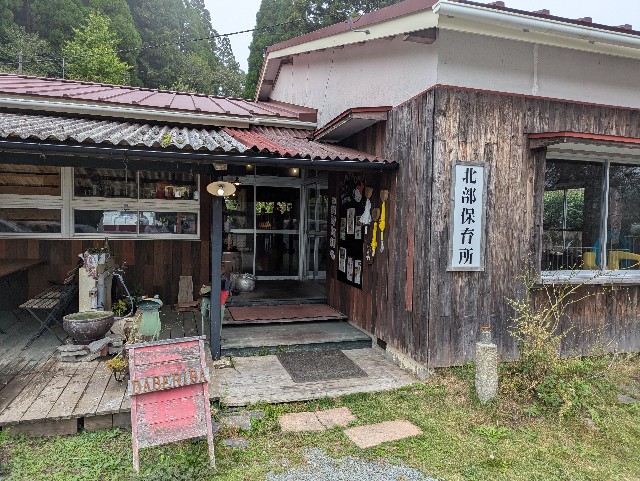 f:id:sansevieriak:20251019201435j:image