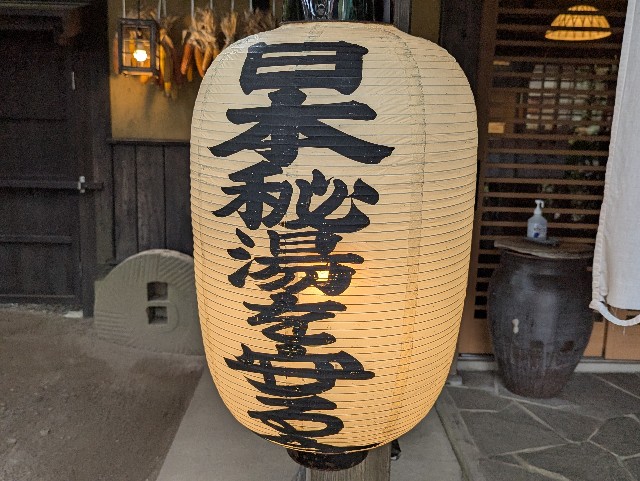 f:id:sansevieriak:20251019201909j:image