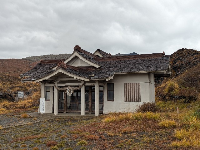 f:id:sansevieriak:20251113201438j:image