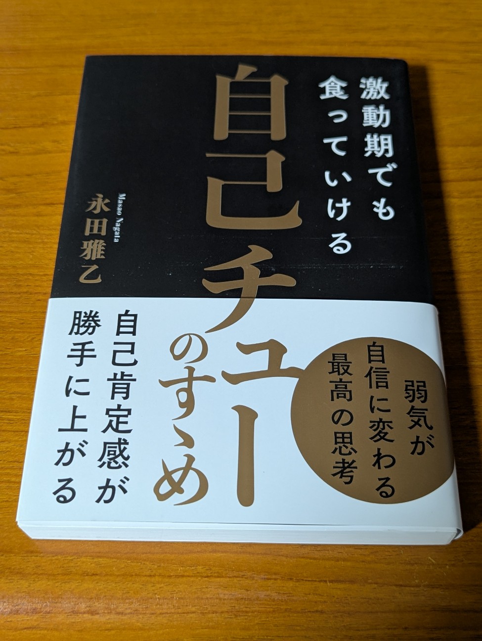 f:id:sansevieriak:20251125221744j:image