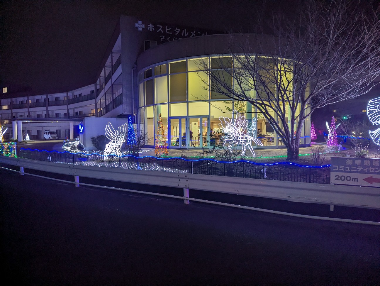 f:id:sansevieriak:20251221134241j:image