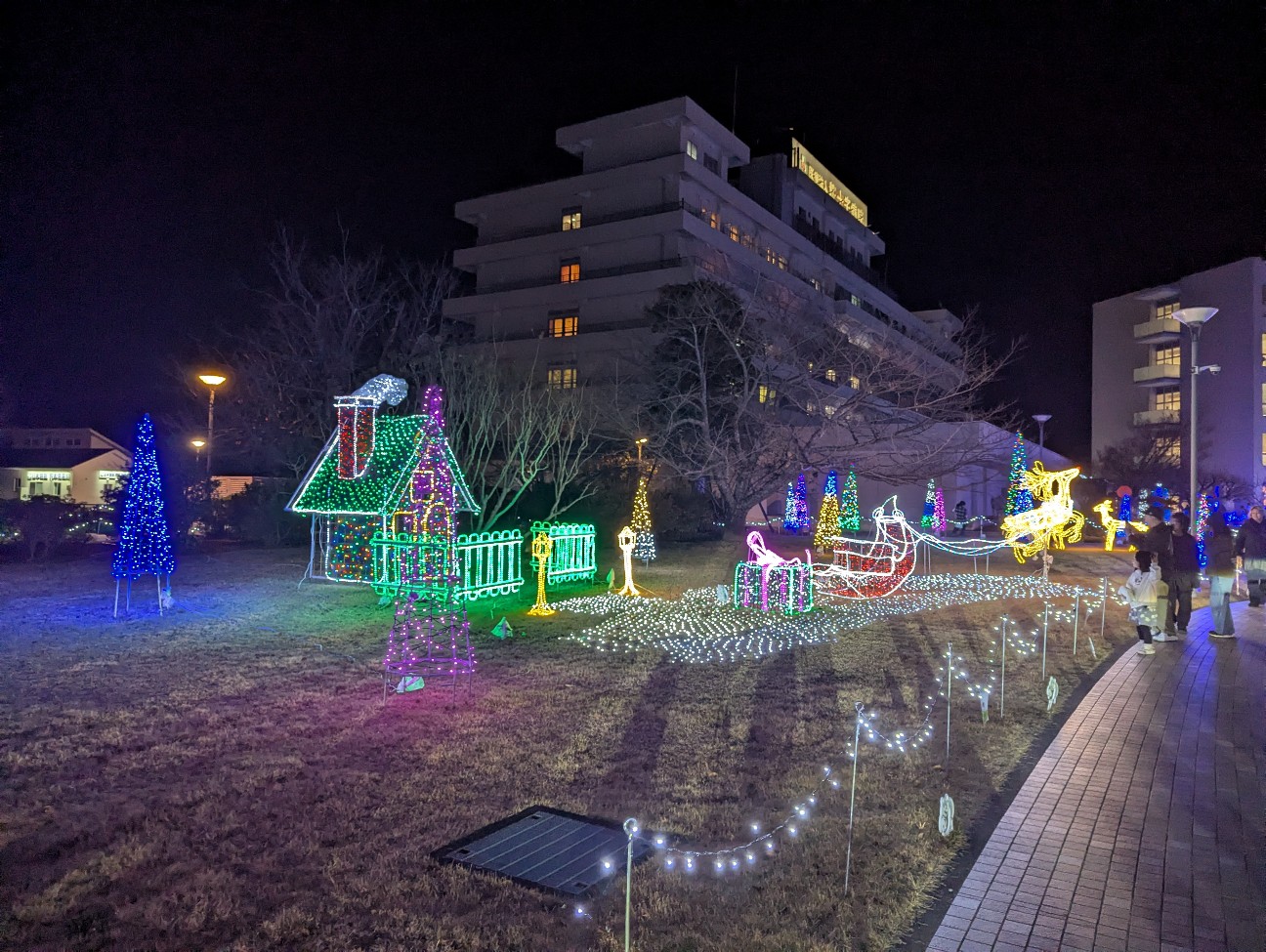 f:id:sansevieriak:20251221135122j:image