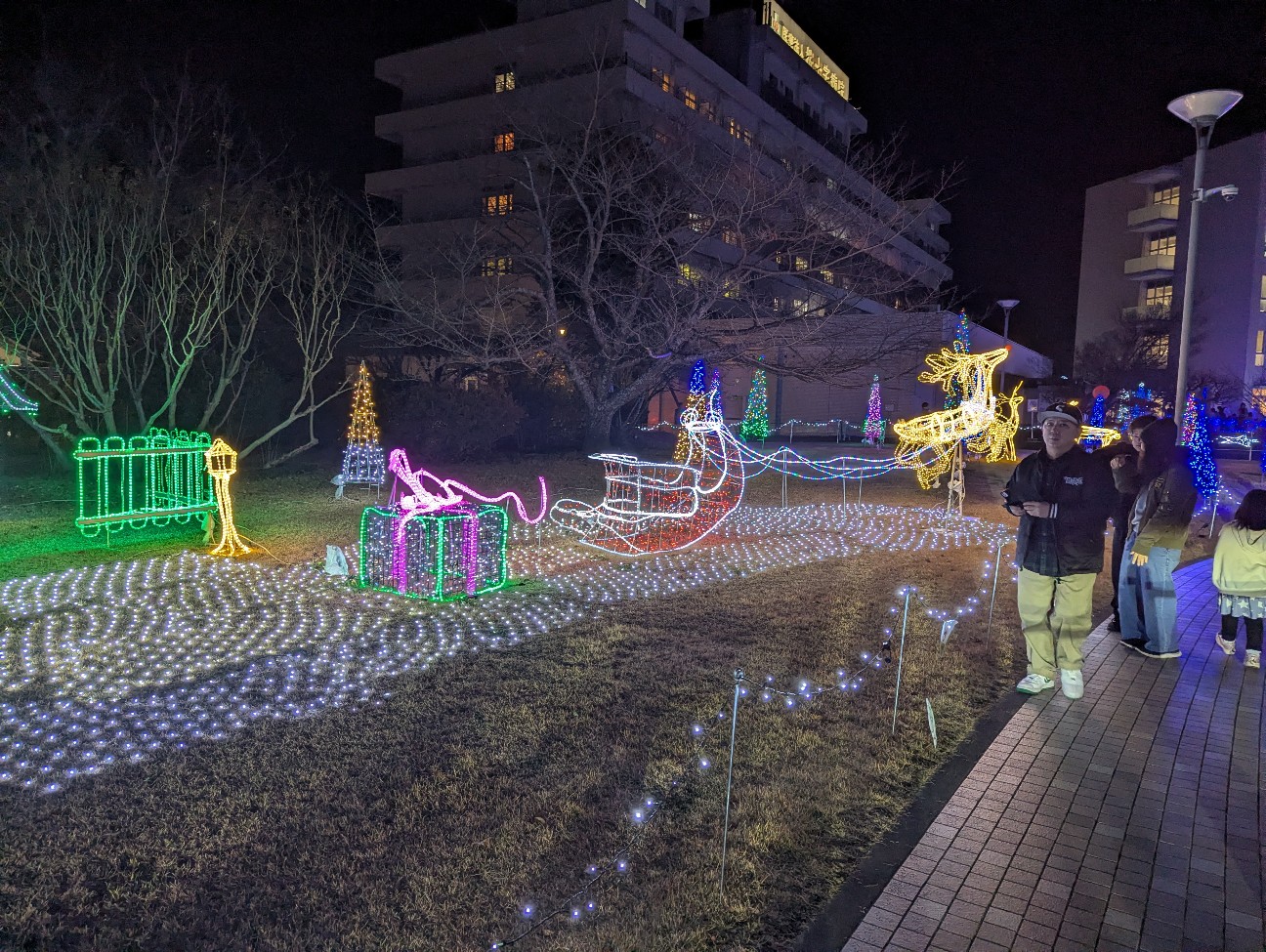 f:id:sansevieriak:20251221135321j:image