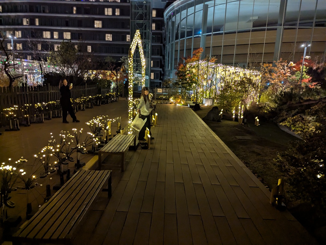 f:id:sansevieriak:20251221142332j:image