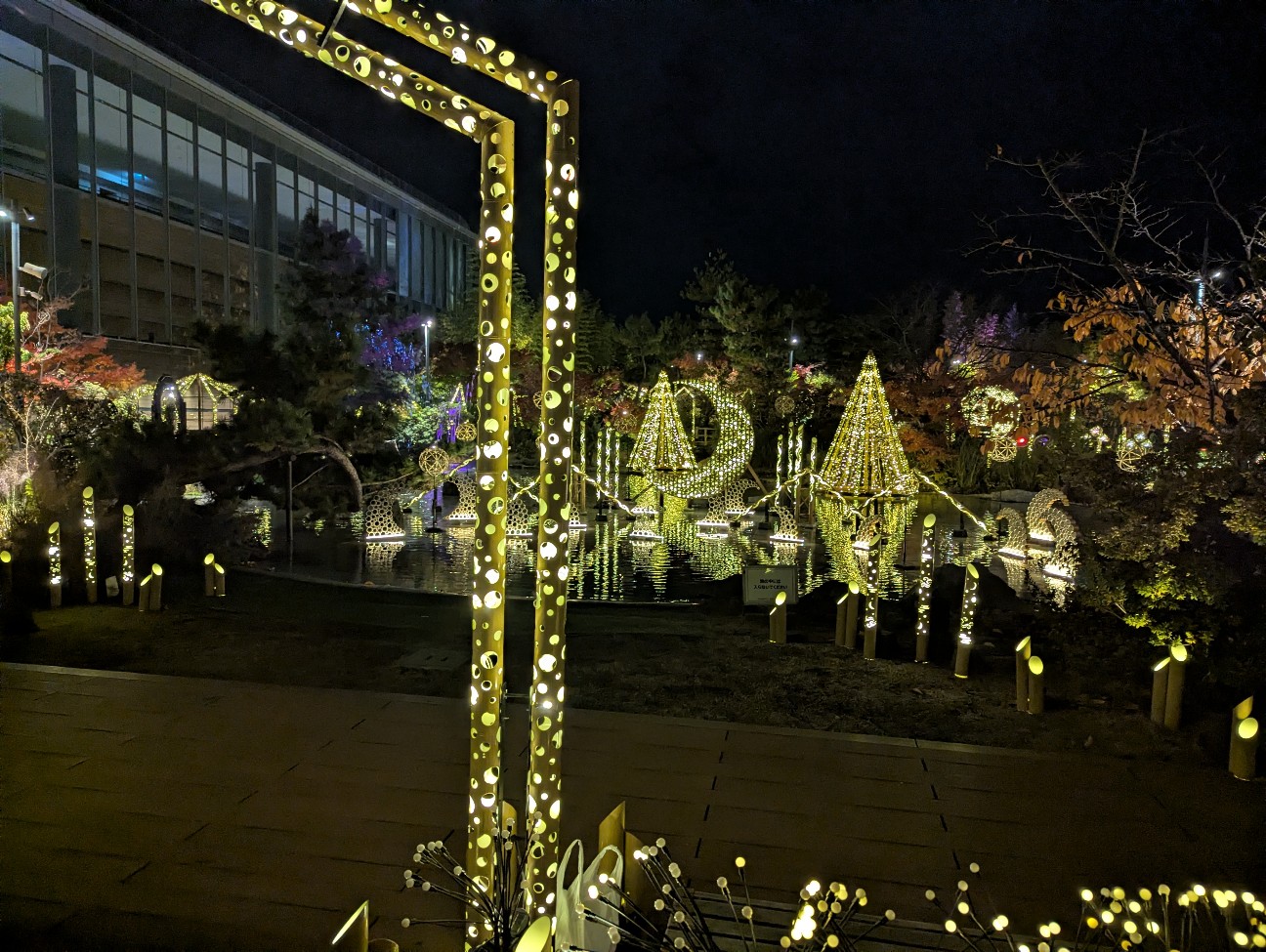 f:id:sansevieriak:20251221142402j:image