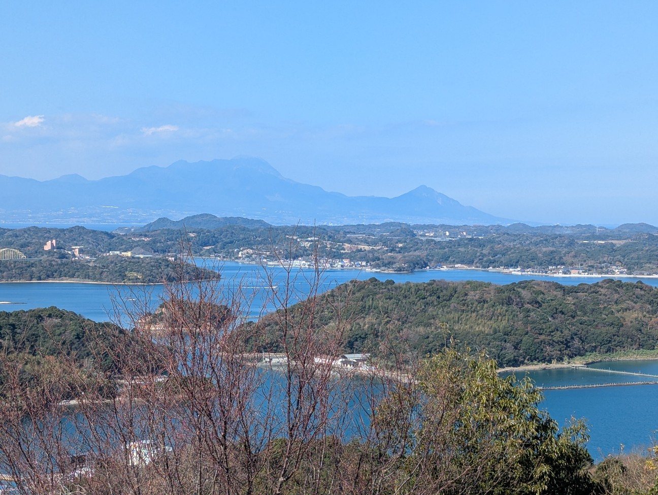 f:id:sansevieriak:20260104133947j:image f:id:sansevieriak:20260104133947j:image