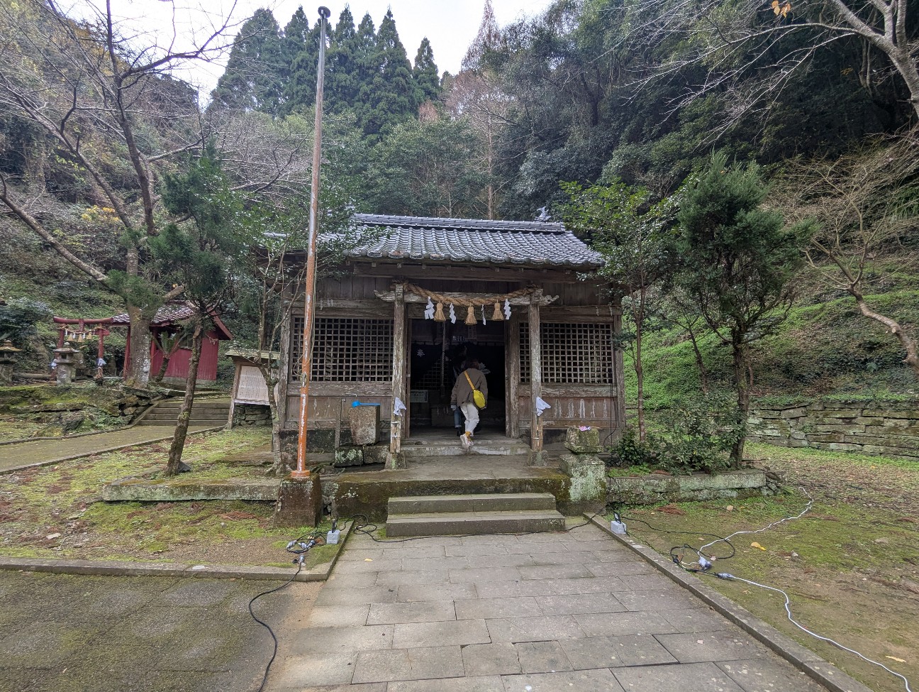 f:id:sansevieriak:20260104134909j:image f:id:sansevieriak:20260104134909j:image